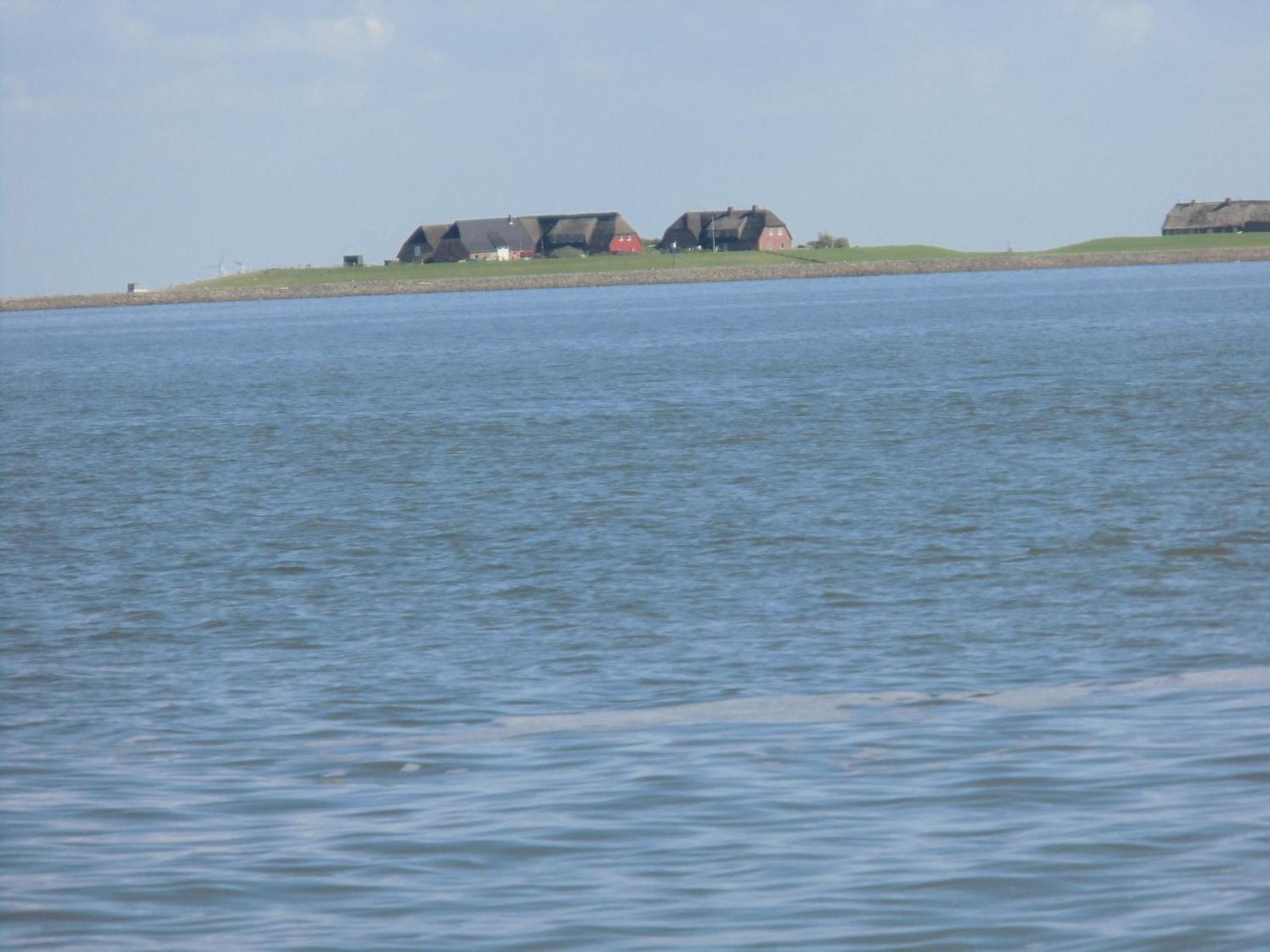 Friesenhaus Am Meer Dagebüll Exterior foto